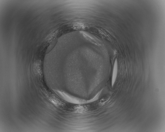 X0000058780616200510171255