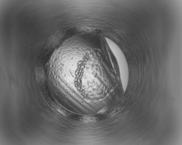 X0000058780617200510171255