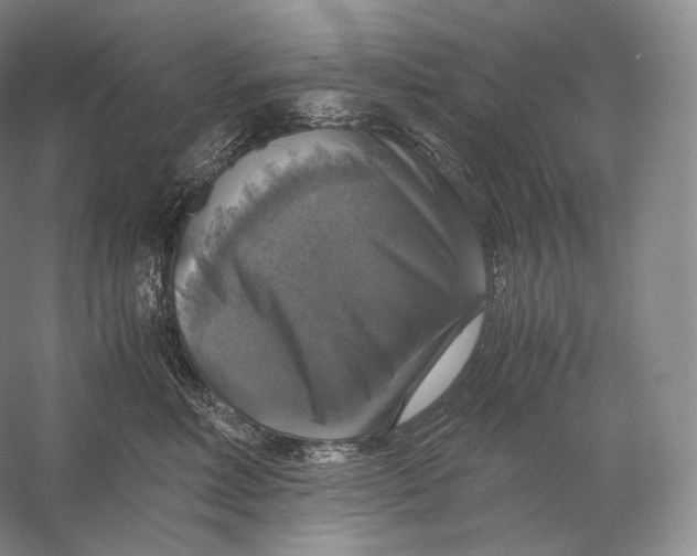 X0000058780618200510171255