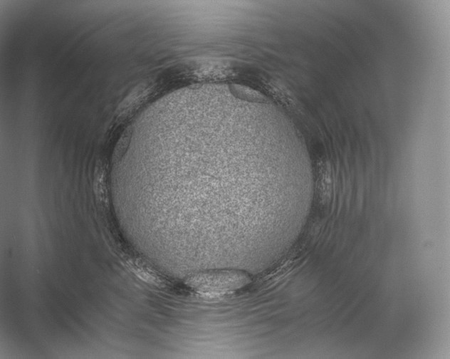 X0000058780619200510171255