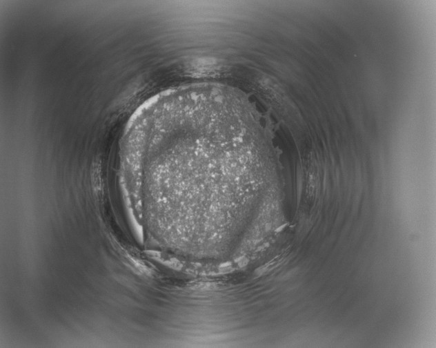 X0000058780620200510171255