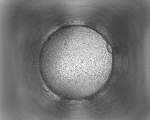 X0000058780625200510171254