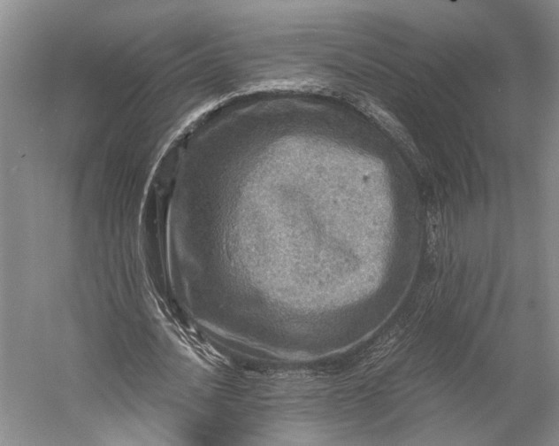 X0000058780628200510171254