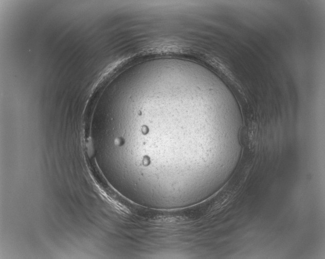 X0000058780629200510171254