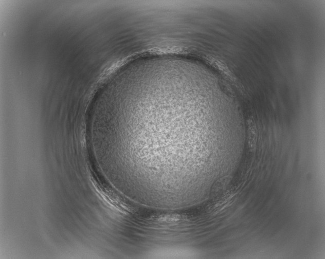 X0000058780631200510171254