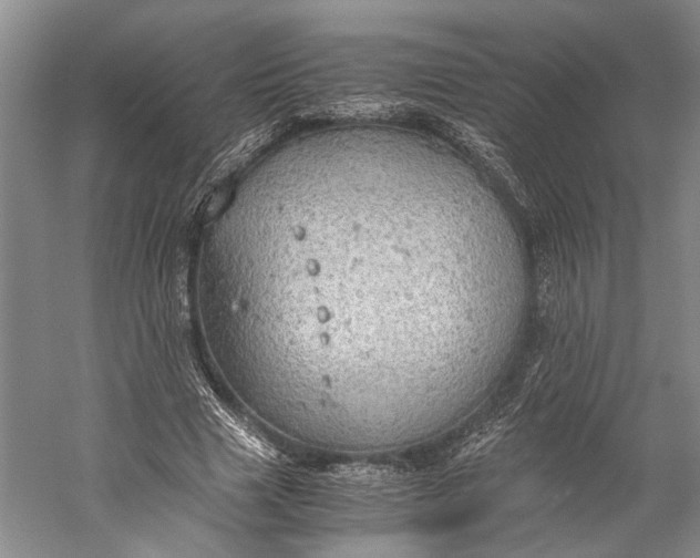 X0000058780633200510171254