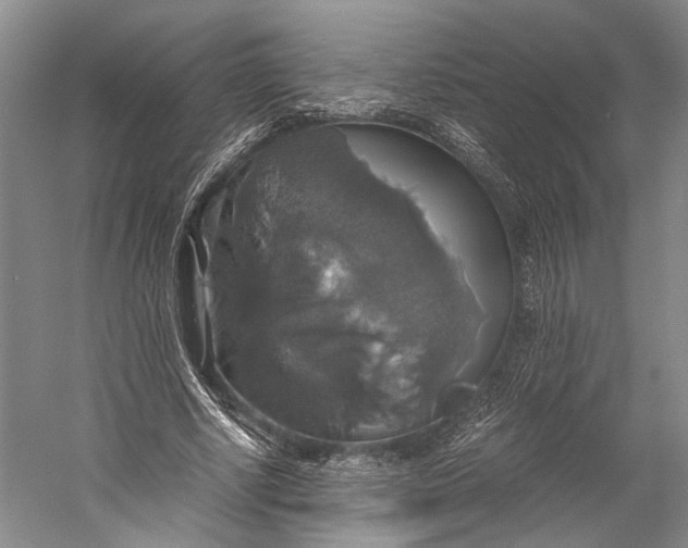 X0000058780634200510171254