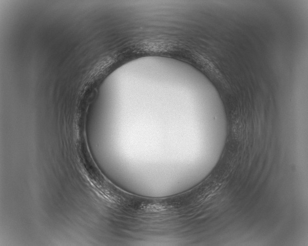 X0000058780635200510171254