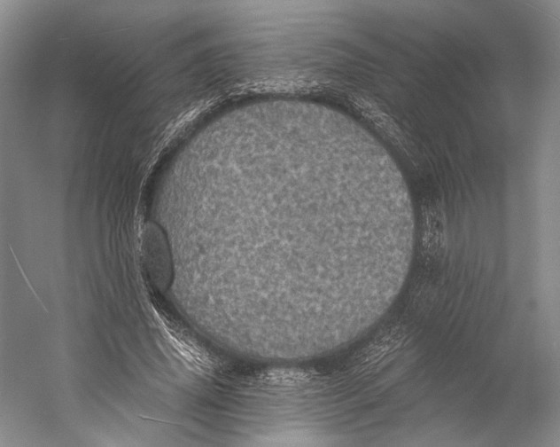 X0000058780636200510171254