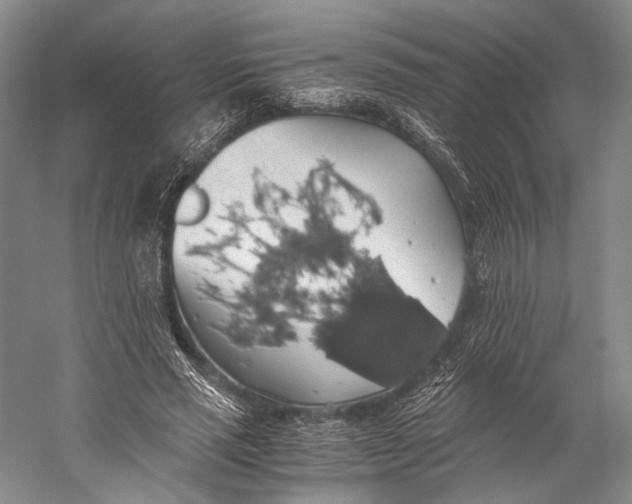 X0000058780637200510171254