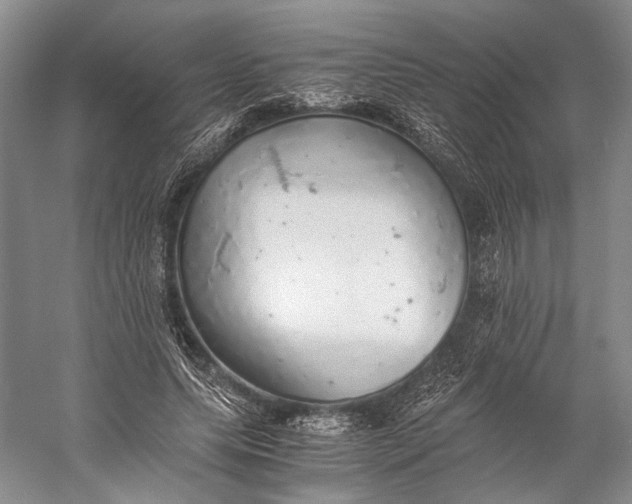 X0000058780639200510171254