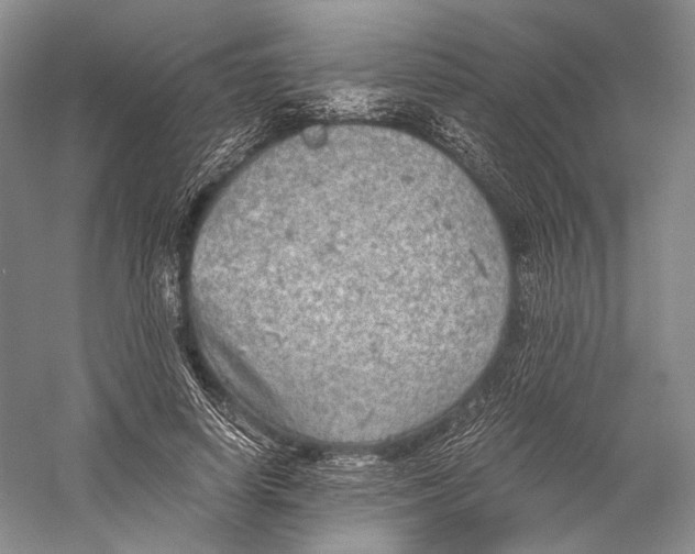 X0000058780642200510171254