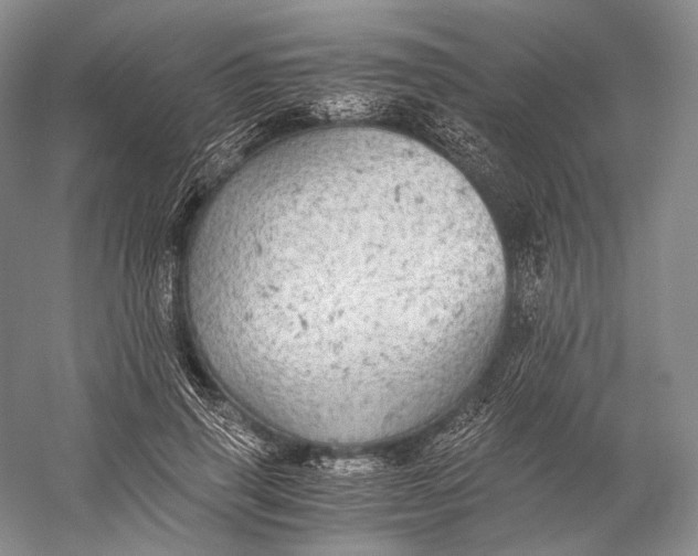 X0000058780645200510171254