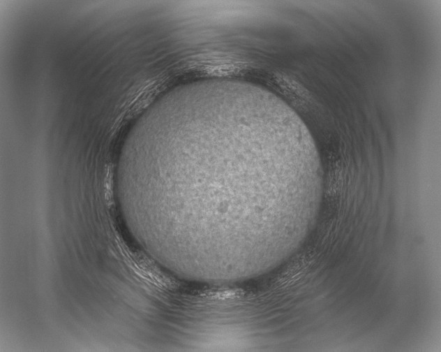 X0000058780646200510171254