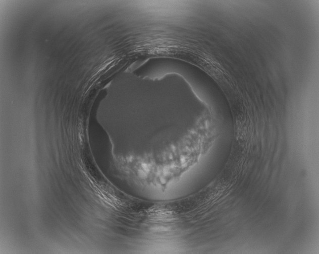 X0000058780648200510171254