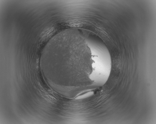 X0000058780652200510171254