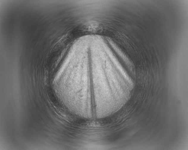 X0000058780656200510171254