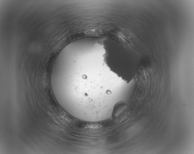 X0000058780659200510171254