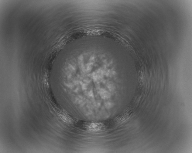 X0000058780663200510171254