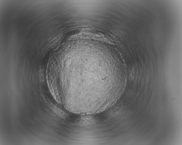 X0000058780666200510171255