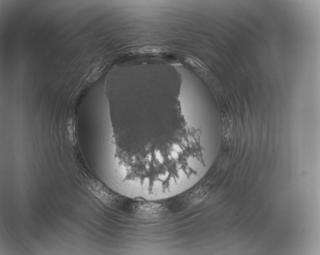 X0000058780669200510171255