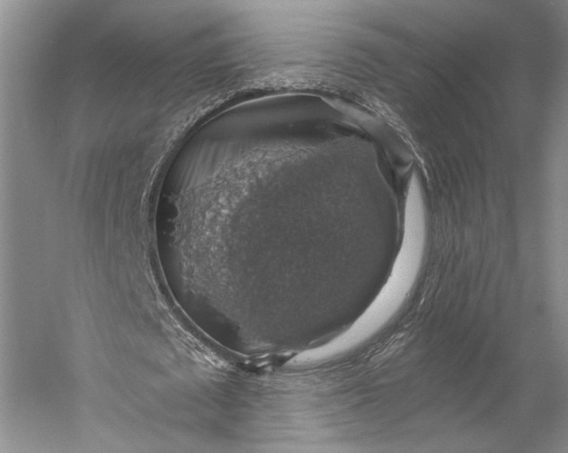 X0000058780673200510171254