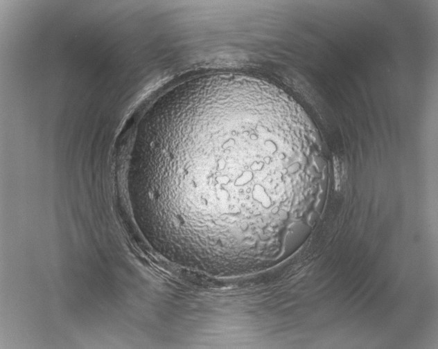 X0000058780675200510171254