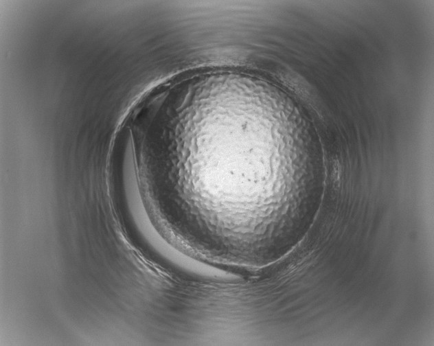 X0000058780676200510171254