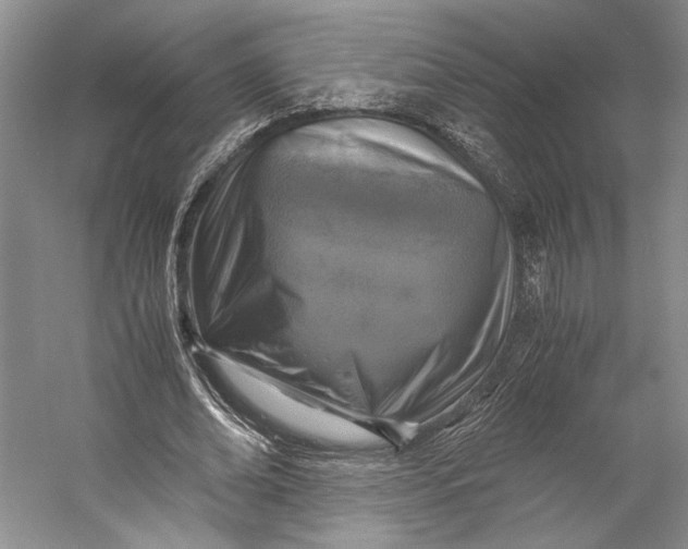 X0000058780678200510171254