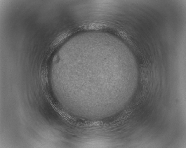 X0000058780683200510171254