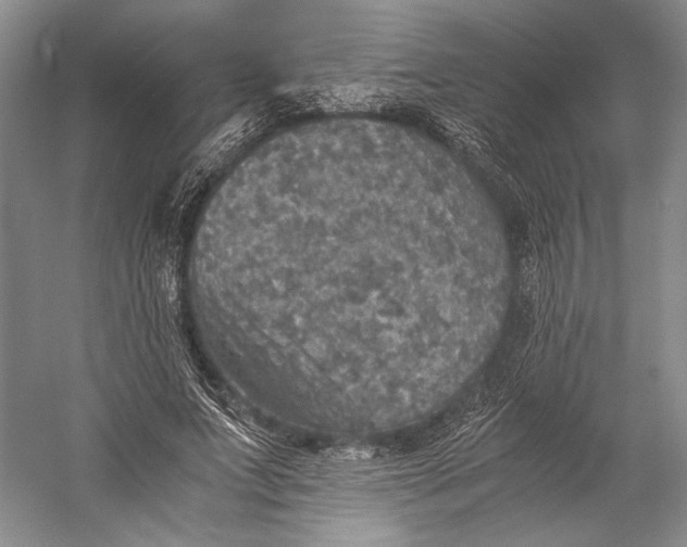 X0000058780687200510171254