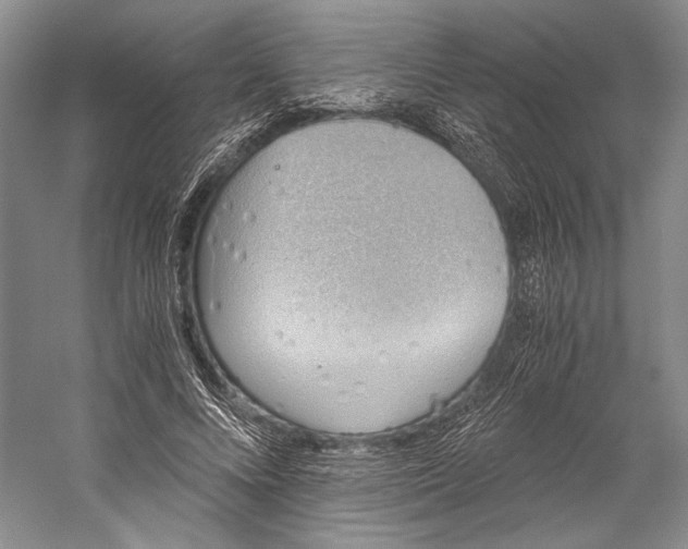 X0000058780688200510171254