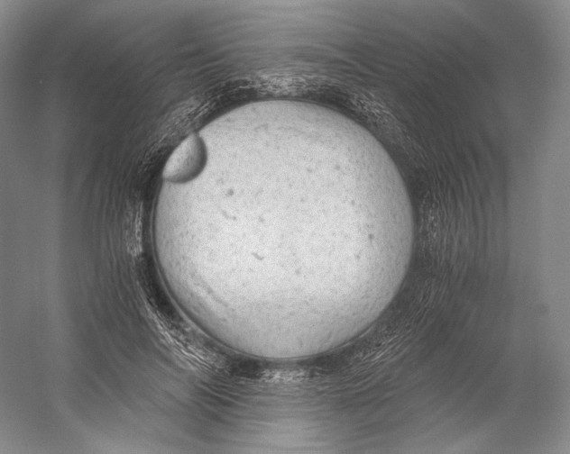 X0000058780694200510171253