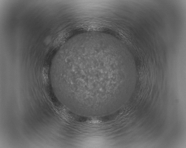 X0000058780695200510171253