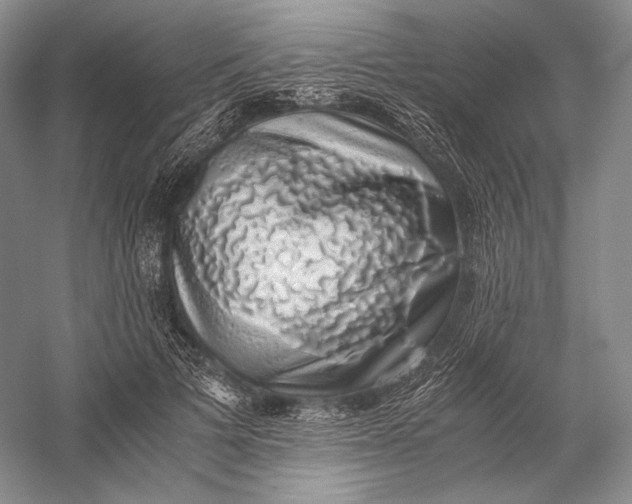 X0000058780697200510171253