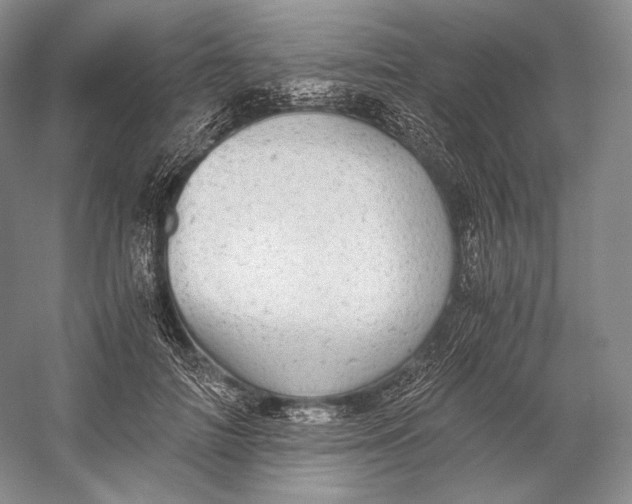 X0000058780698200510171253