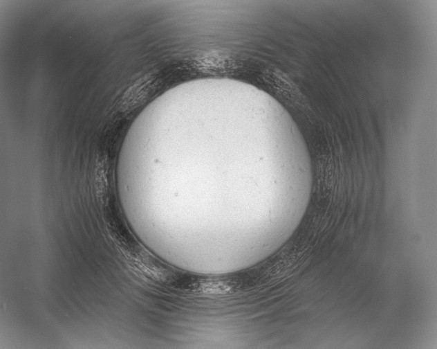 X0000058780702200510171253