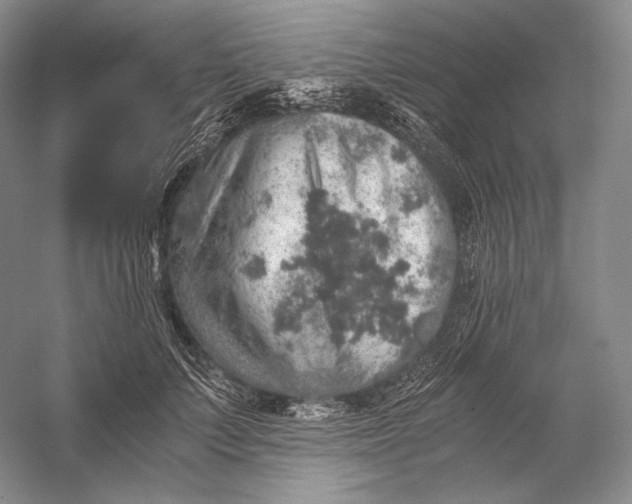 X0000058780703200510171253