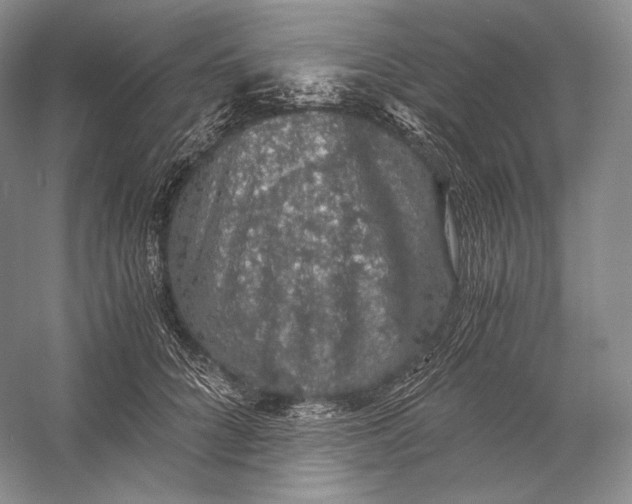 X0000058780704200510171253