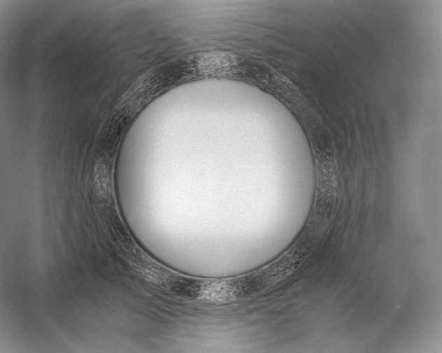 X0000058780705200510171253