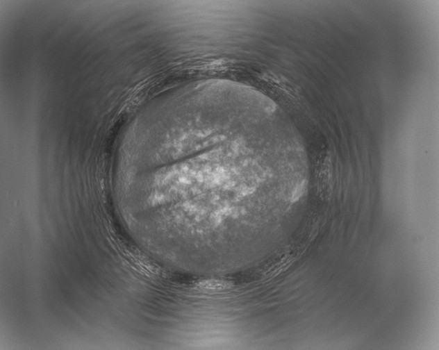 X0000058780708200510171253