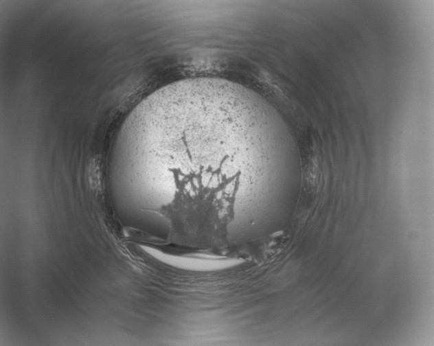 X0000058780715200510171253