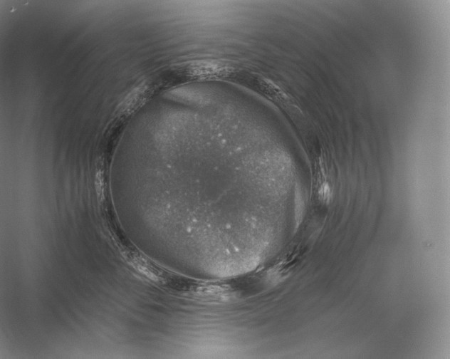 X0000058780716200510171253