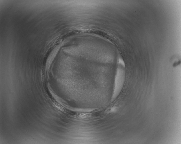 X0000058780720200510171253