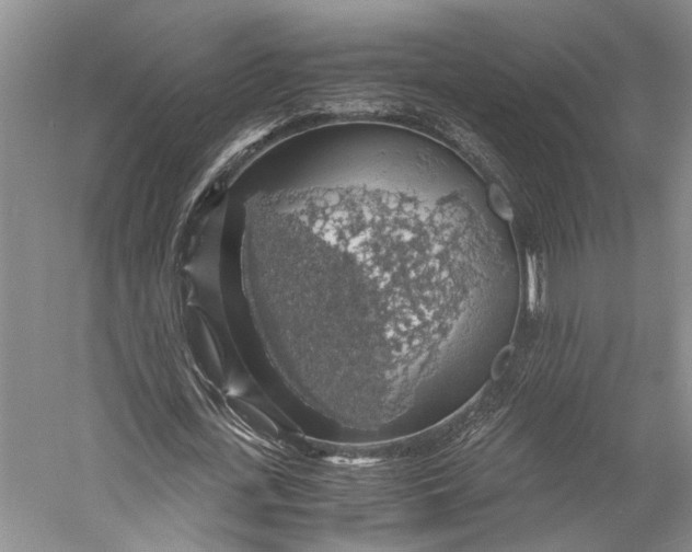 X0000058780723200510171252