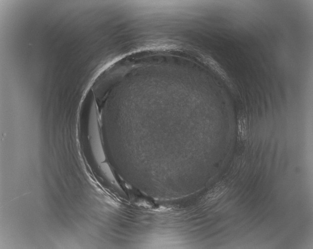 X0000058780724200510171252