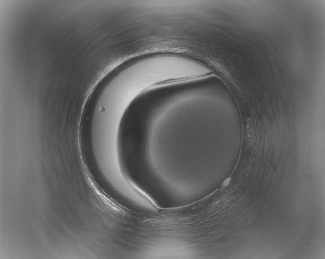 X0000058780726200510171252