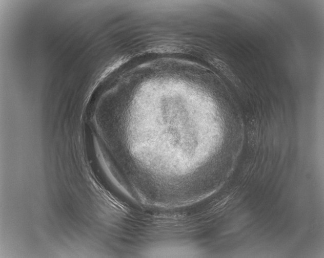 X0000058780727200510171252