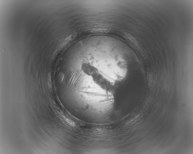 X0000058780729200510171252