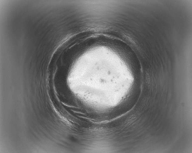 X0000058780730200510171252